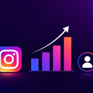 Instagram Accounts Traffic (200K – 300K Followers)