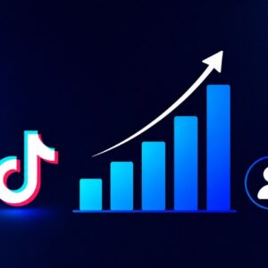 TikTok Accounts Traffic (400K – 600K Followers)